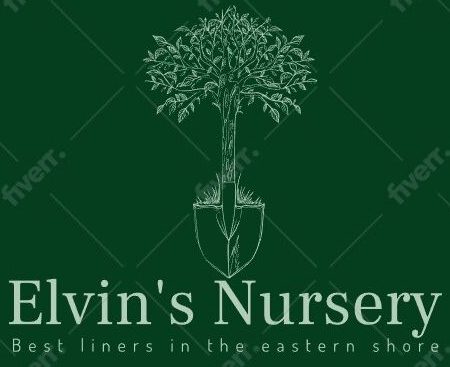 Elvin's Nursery
