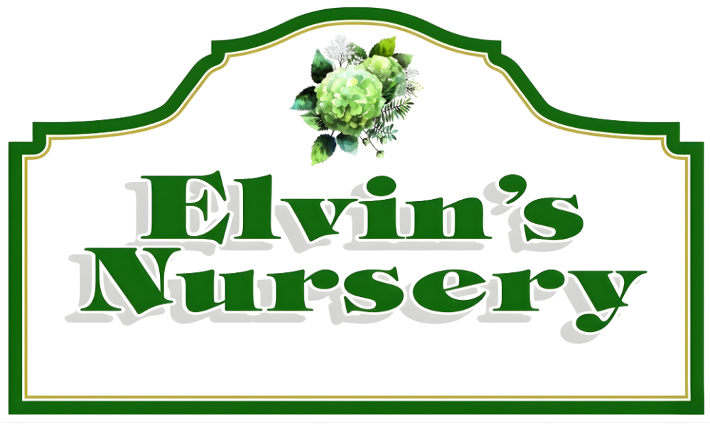Elvin's Nursery